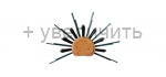 Щётка полубрашинг SANBI MX-401 Half Roll Brush, средняя, натуральная щетина + нейлон